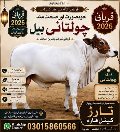 qurbani 2026