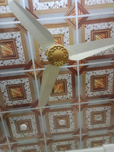 2 fans available