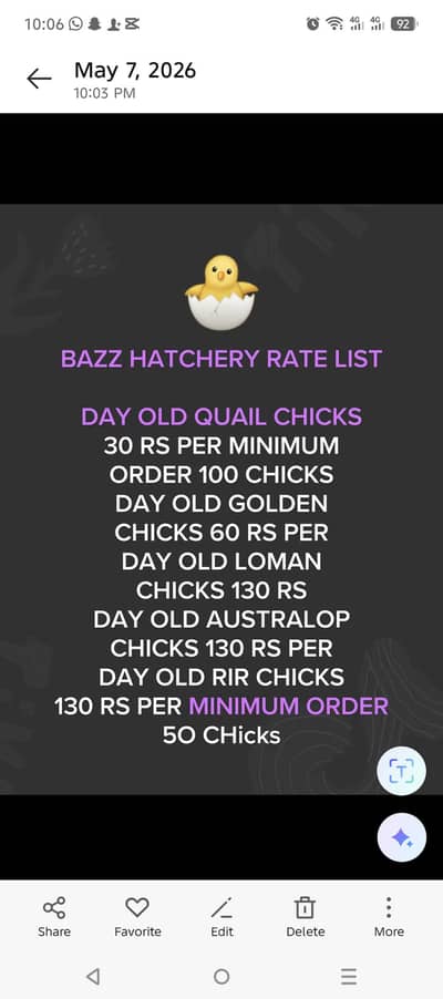 quial( btair)chick,loman chicks,RIR chicks,,day old golden,auterolop