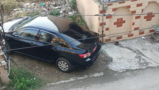 Total Genion car