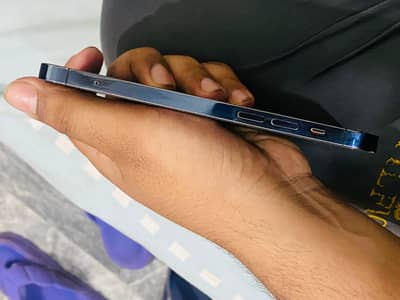 Iphone 12 pro pta approved