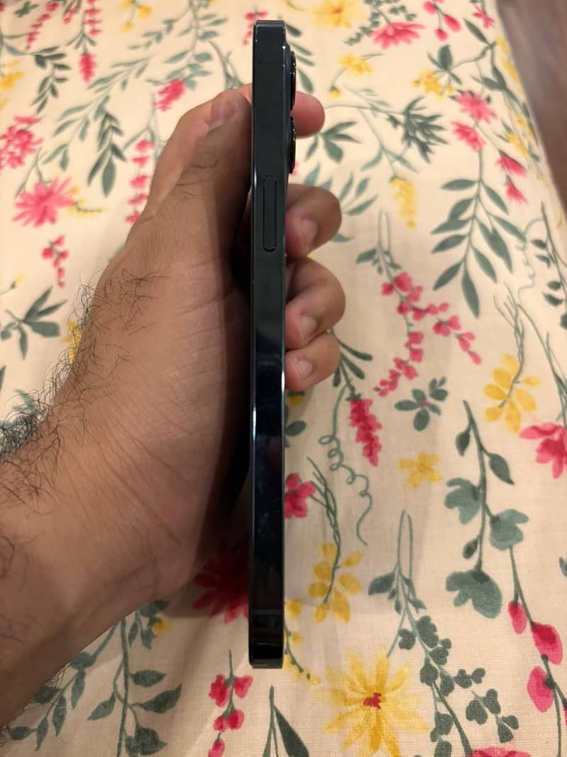 iphone 12 pro max 2