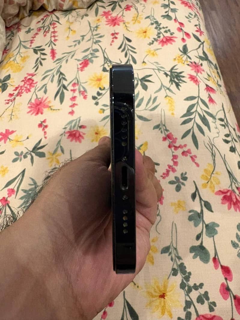iphone 12 pro max 3