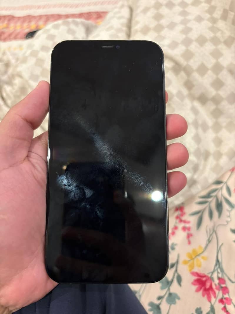 iphone 12 pro max 4