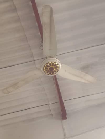 fan for sail