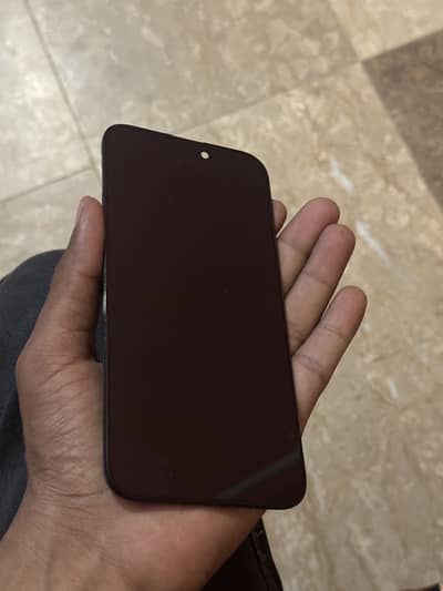 iPhone 14 Pro Max original panel