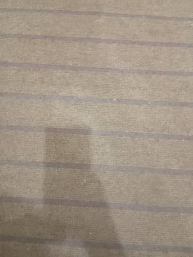 Carpet for room