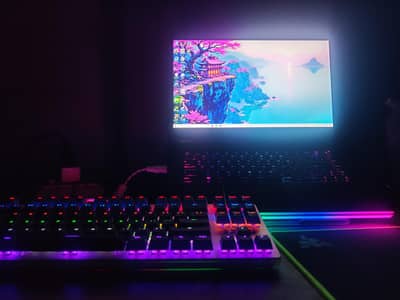MSI Raider Ge66