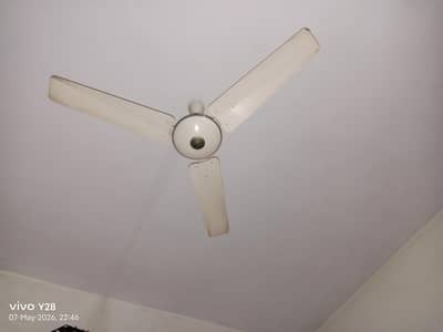 G. F. C Fane good condition