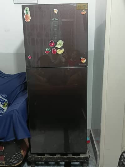 Haier HRF-306TDC Refrigerator - 276L - Energy Efficient