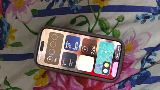 iPhone 14 pro max  256 GB