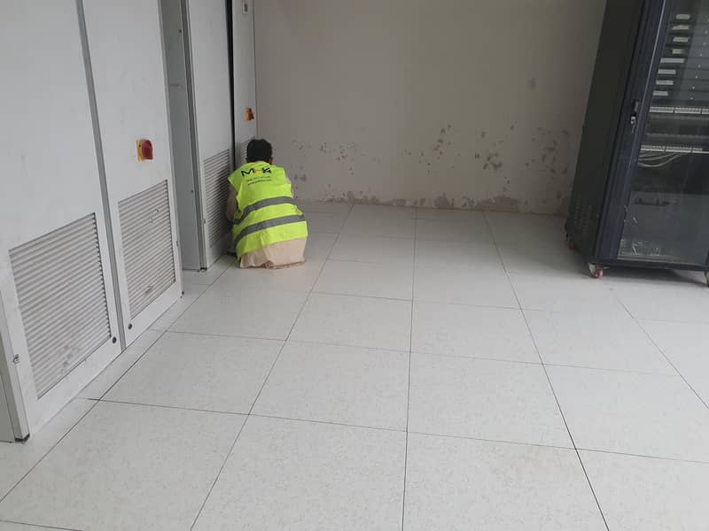 Raised Floor 4