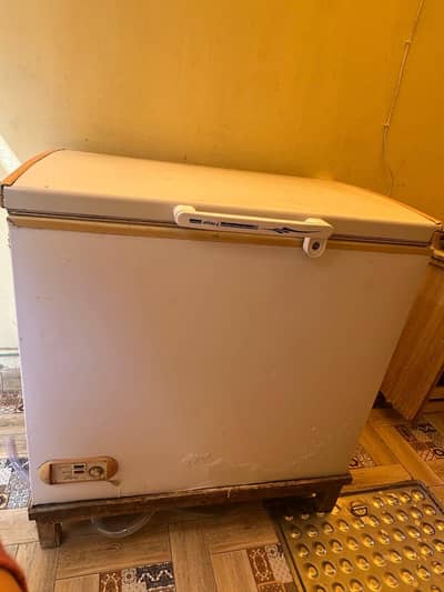 Used freezer (works perfectly)