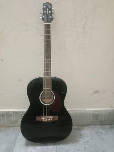 Professional Guitar For sale with truss Rod