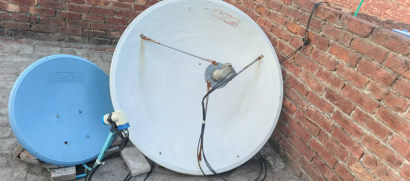 Dish 2 3