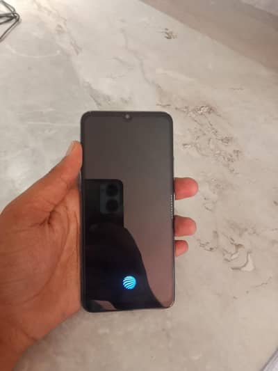 vivo sl