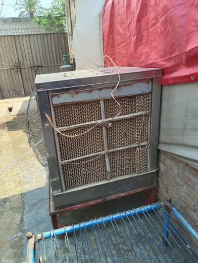 sateel body air cooler