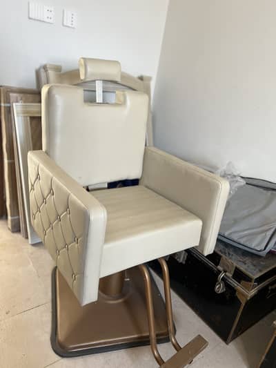 pair of salon chairs