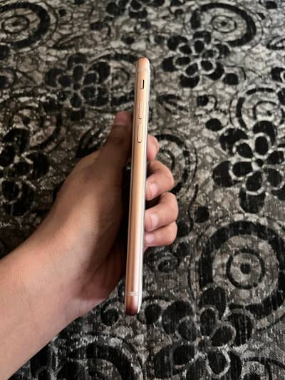iPhone 8 Only Sell ( No exchange )