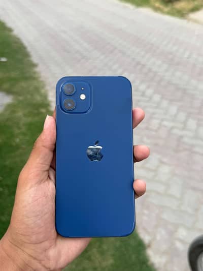 iPhone 12 128 PTA approved