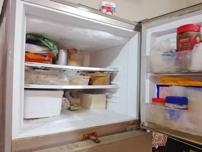 PEL 2 door fridge.