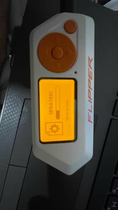 flipper for sale