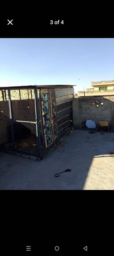 cage for sale animals bird's and using as store