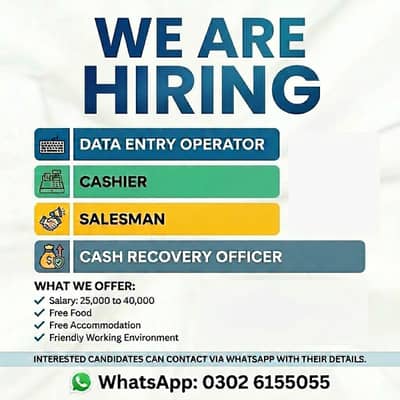 Data Entry Operator/Saleman/Cash Recovery (FREE Food & Accommodation)