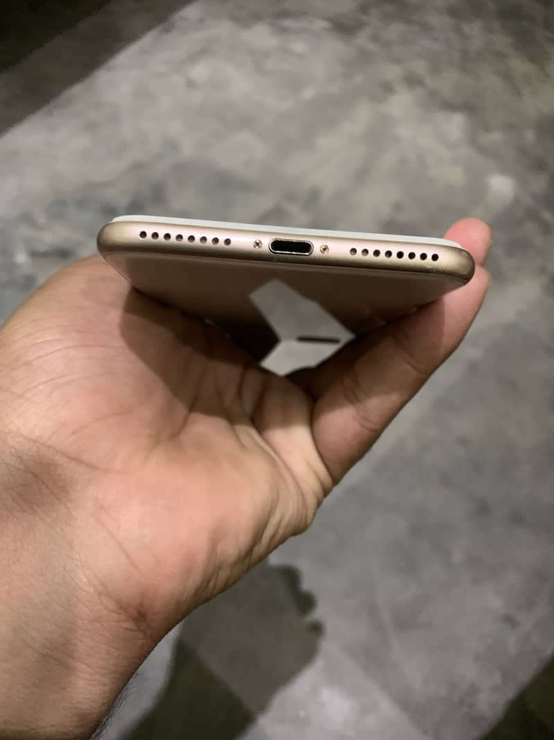 iPhone 8 Plus 3