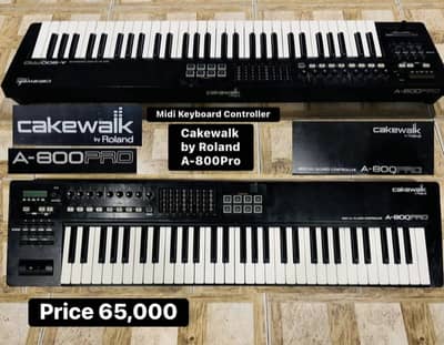 Cake Walk by Roland A800 Pro Midi Controller/ Piano / Keyboard/ Guitar