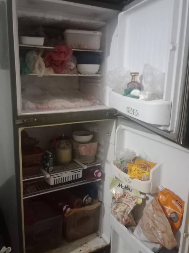refrigerator 1