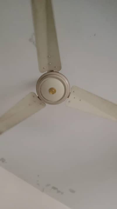 working conditions fan
