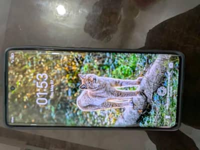 techno spark 20 pro plus leather 10 by 10 condition