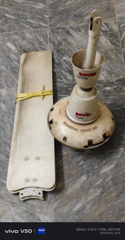 Royal Ceiling Fan