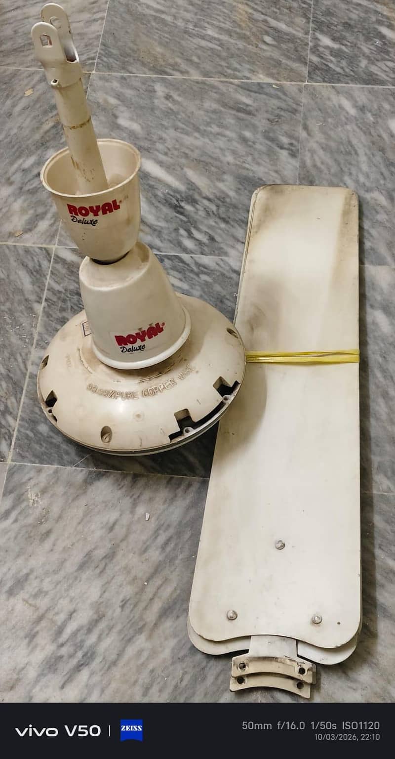 Royal Ceiling Fan 1