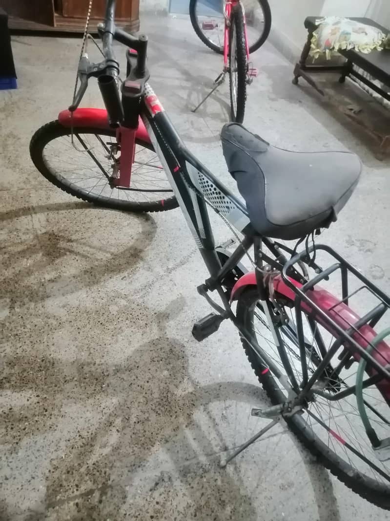 cycle 3