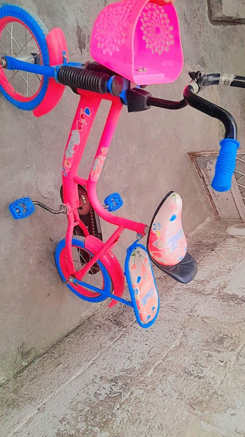 cycle 2