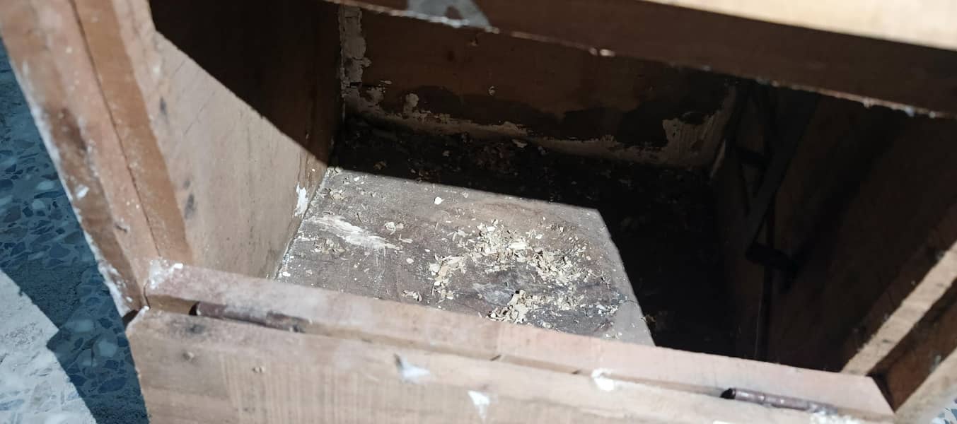raw breading box 4