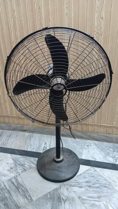 Pedestal Fans