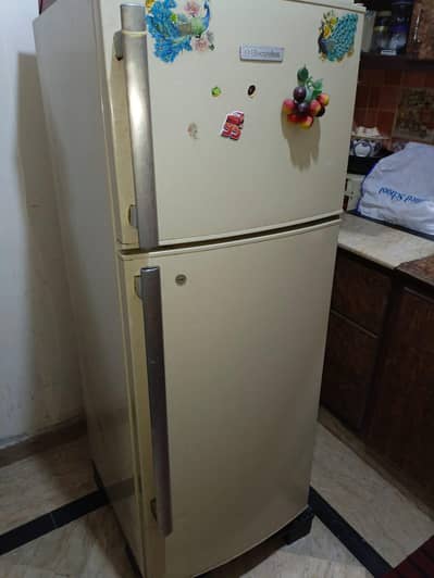 Electrolux Refrigerator  in Good Condition