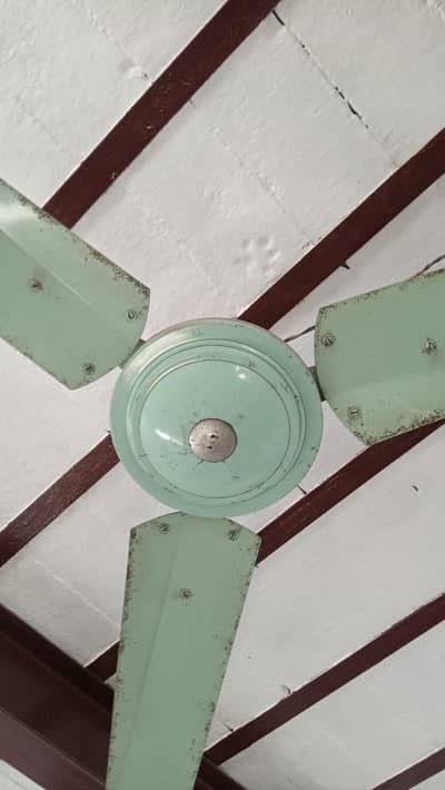 3 Blade Ceiling Fan Green Colour "Good Condition"