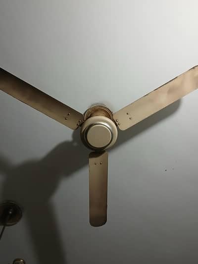 Royal Fans Active  original winding not repaired