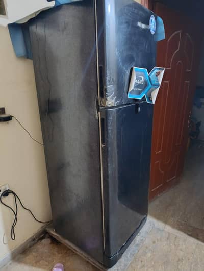 Homeage fridge h  Standard size h