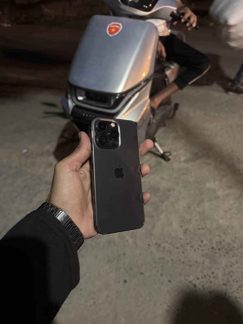 13 Pro 2
