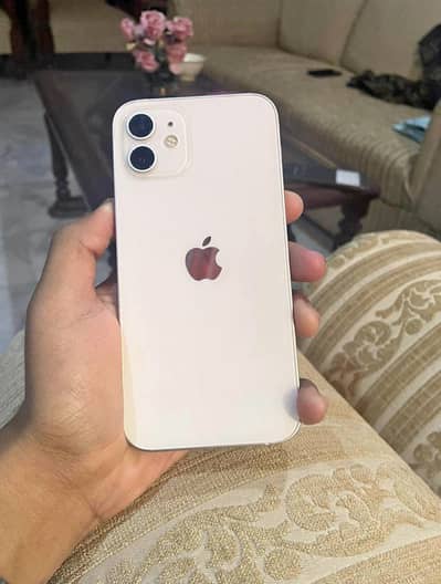 Iphone 12 pta