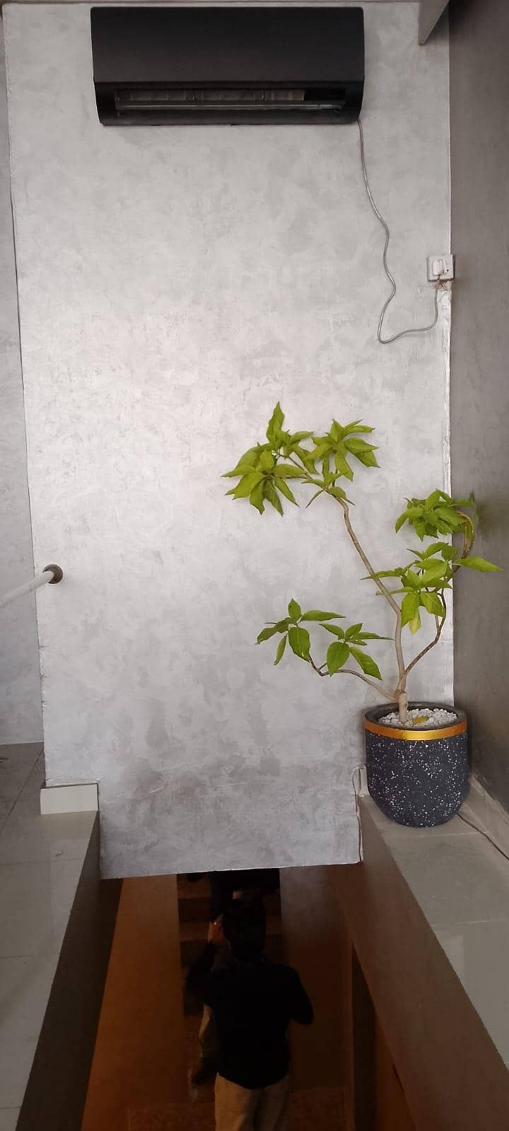 atailian coating 8