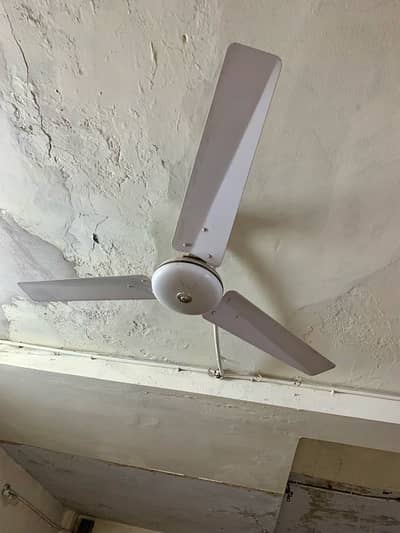 SK ceiling fan pure copper
