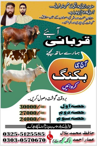 qurbani animal