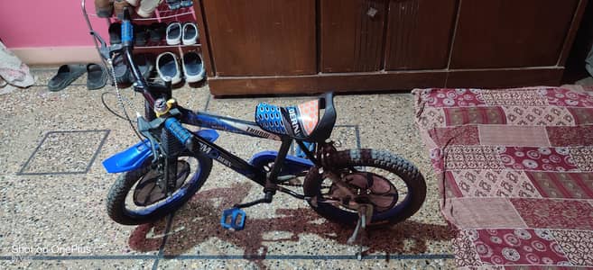 Modern Kids Bicycle SB-300 Thunder