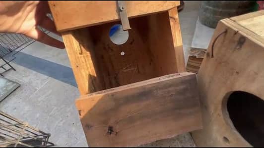 3 kikker wooden boxes